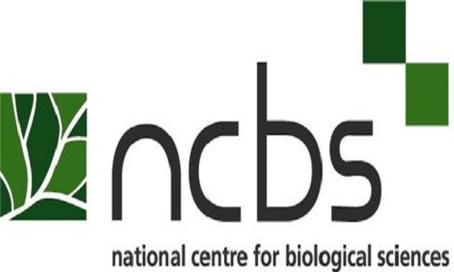 NCBS